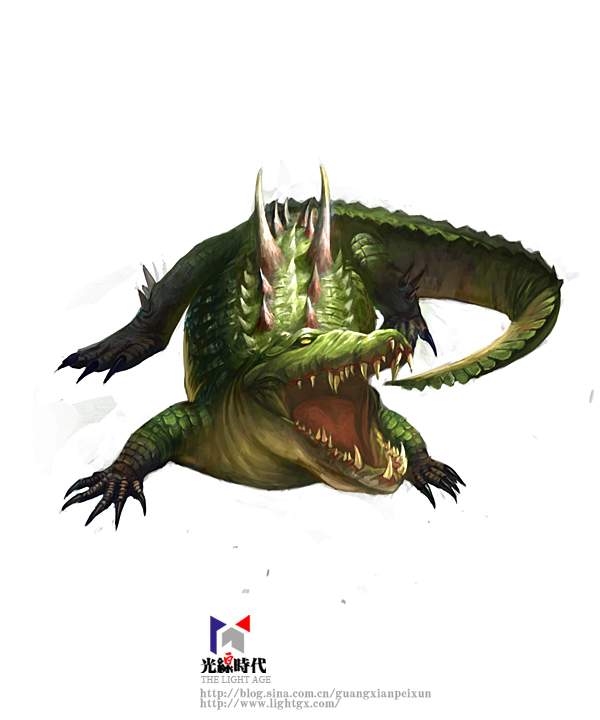 Crocodile_HN_ColorCheck.jpg