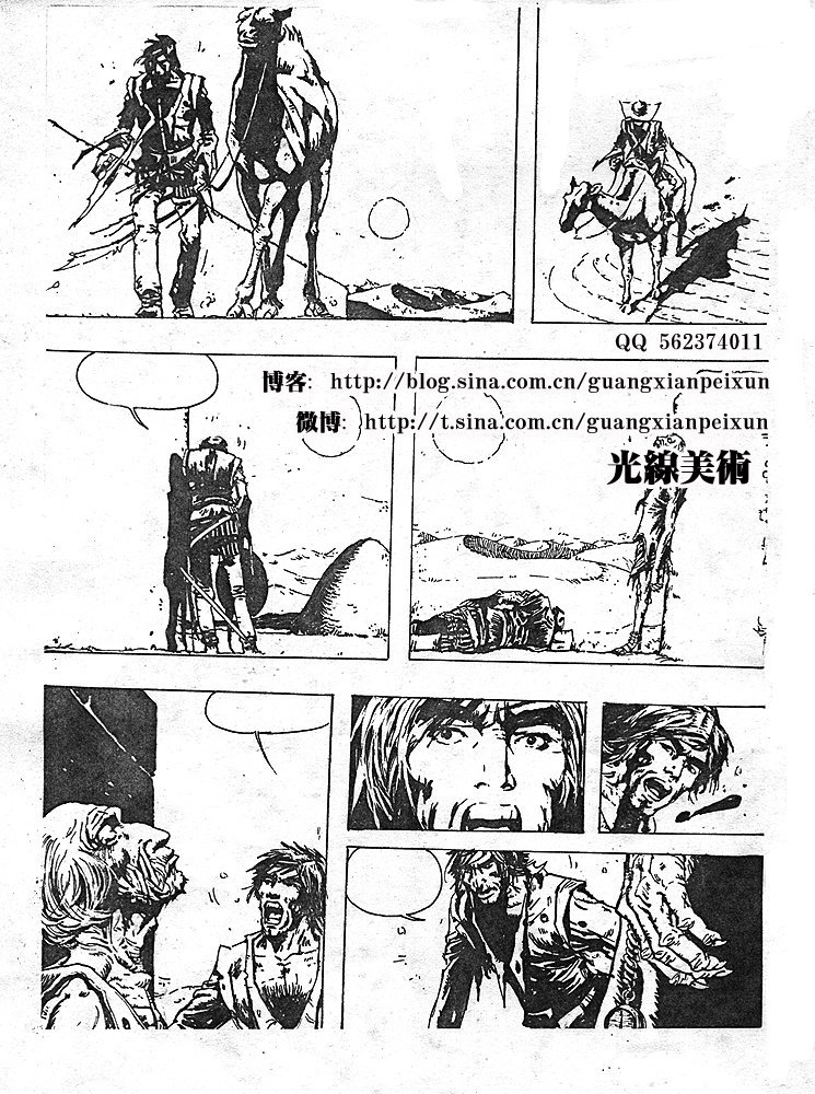 鲨Ʒ2.jpg